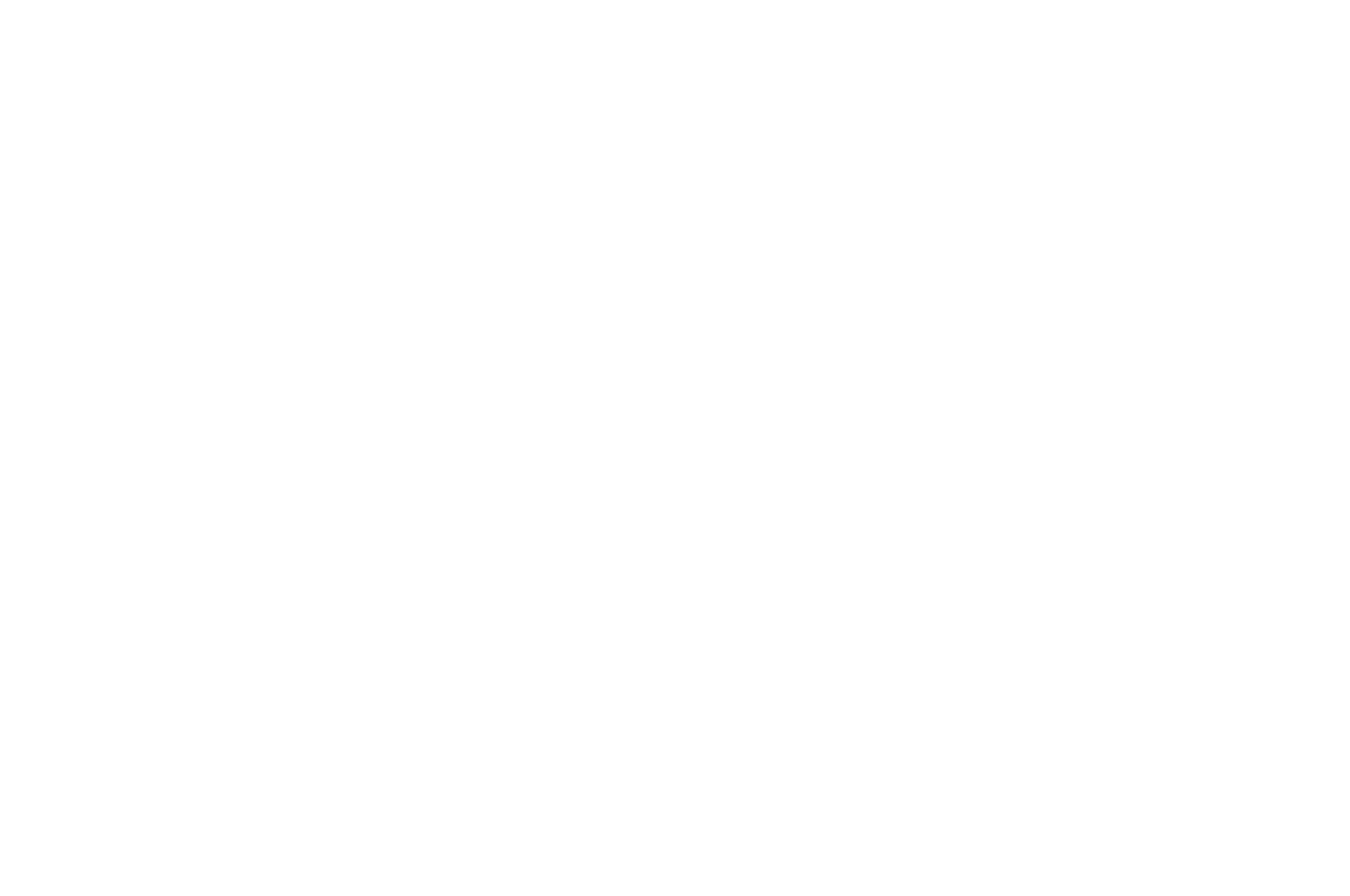 Winner — WorldFest-Houston International Film Festival 2021